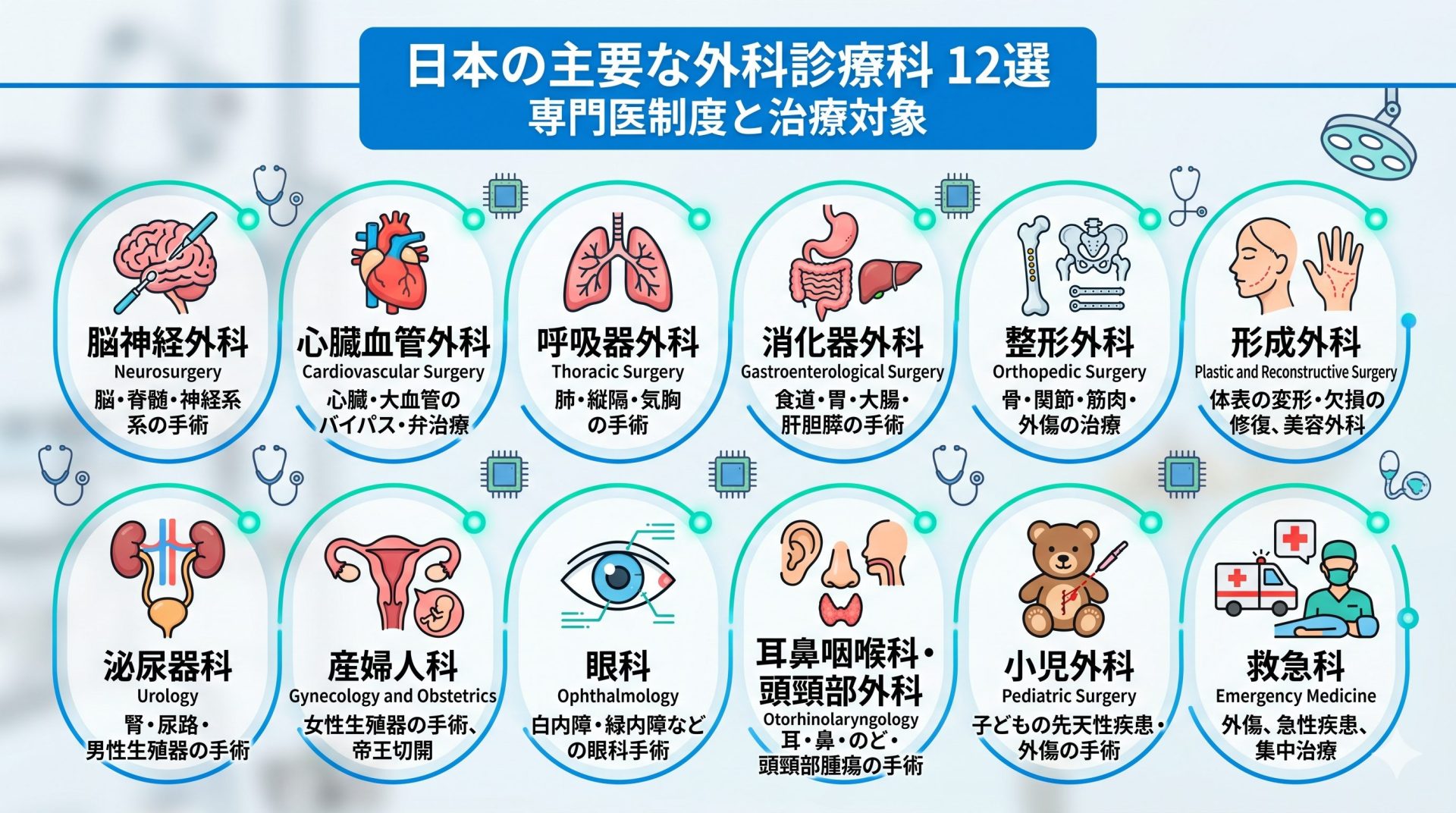 外科医の種類12分野を示す図解インフォグラフィック