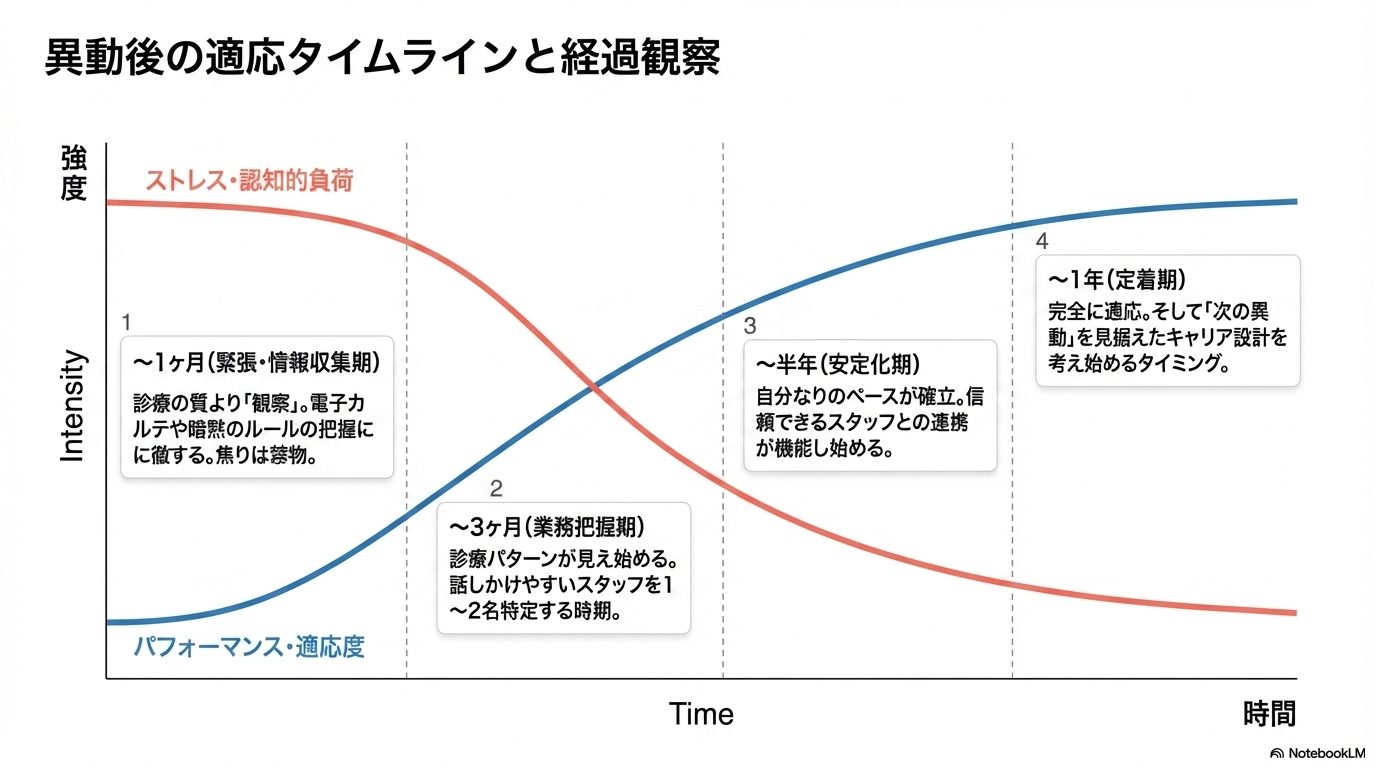 異動後のストレス減少と適応度上昇を4つの期間で示すタイムライン。